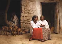 A health professional talks to a woman on specific health issues. They are seated outside her home and there are some goats nearby.