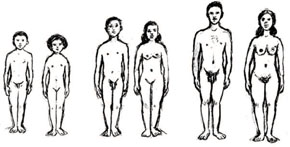 Young people at different age groups (showing physical changes)