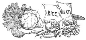 Leafy vegetables, beans, mushrooms, whole grains, a bag of rice and a bag of wheat