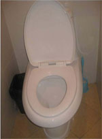 Cistern flush toilet