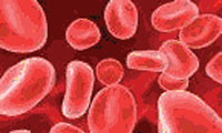 Red blood cells