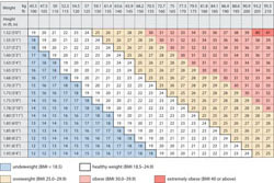 Body Mass Index chart